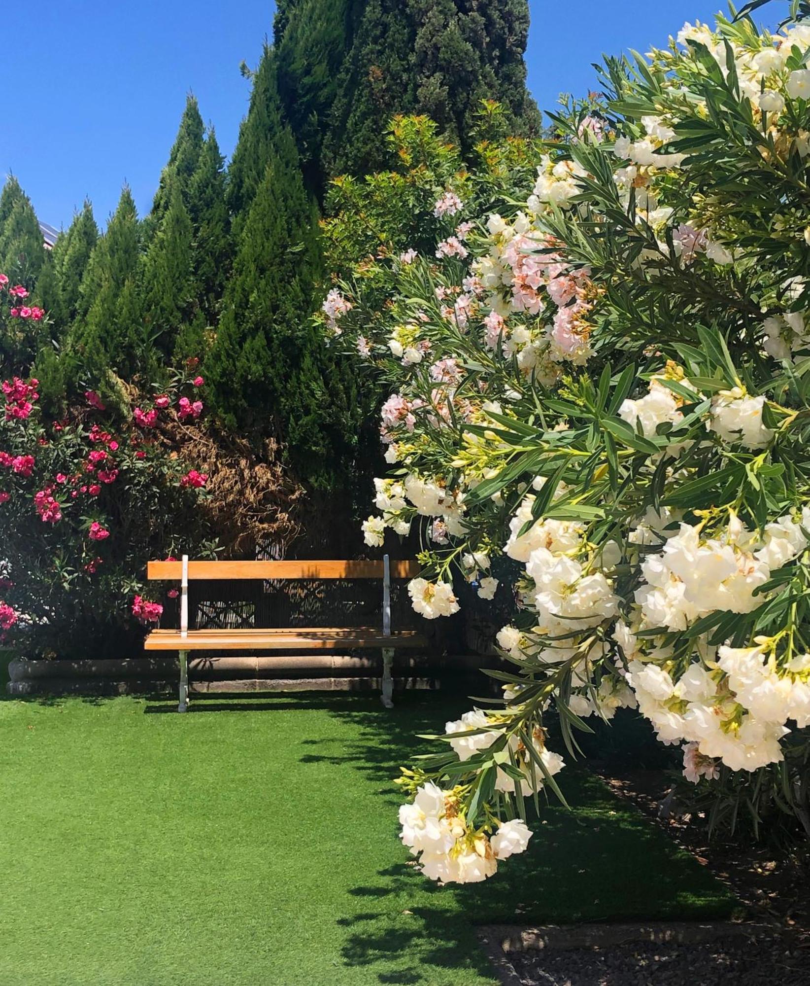 Bungalows Las Almenas มาสปาโลมาส ภายนอก รูปภาพ